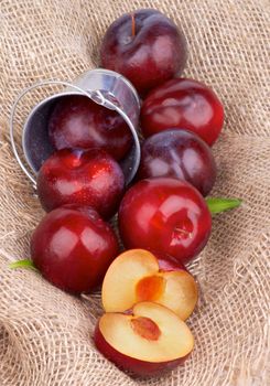Arrangement of Ripe Sweet Red Plums Full Body and Halves Scattered from Tin Bucket on Burlap background