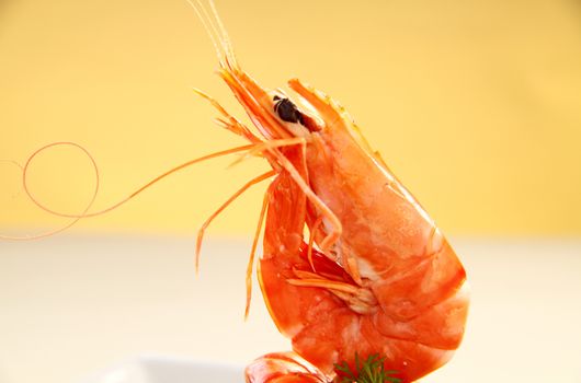 Fresh shrimp standing on a salad ready to serve.