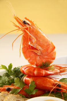 Fresh shrimps with avocado and salad ready to serve.