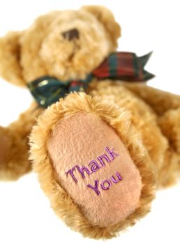 Teddy bear lying down with thank you on his paw. 