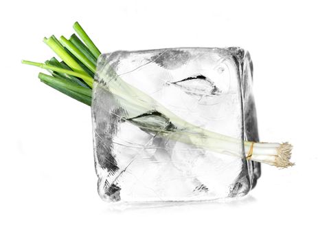 leek, allium in a ice cube isolated with white background 