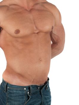 Muscular male torso of bodybuilder on white background