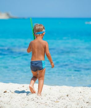 Back view of cute boy snorkelling ready swim in the transparent sea.