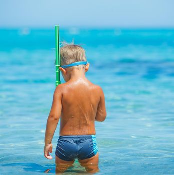Back view of cute boy snorkelling ready swim in the transparent sea.
