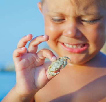 Adorable boy holding crab on hand on the beach. Focus on the crab.