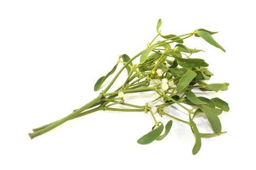 Mistletoe with berries on a light background