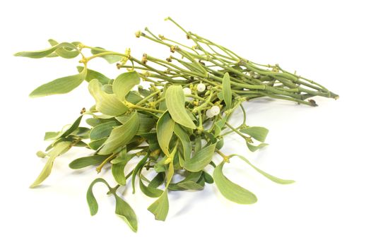 Mistletoe with white berries on a light background