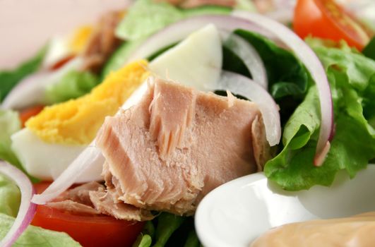 Freshly prepared tuna and egg salad with thousand island dressing.