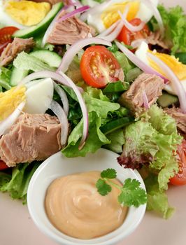 Freshly prepared tuna and egg salad with thousand island dressing.