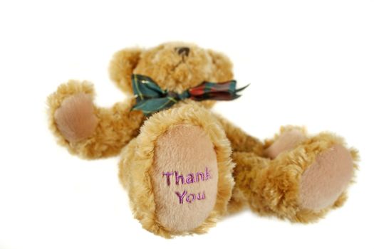 Teddy bear lying down with thank you on his paw. 