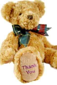 Teddy bear with thank you on his paw.