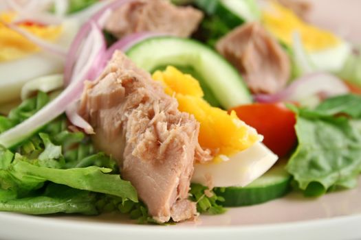 Freshly prepared tuna and egg salad with thousand island dressing.