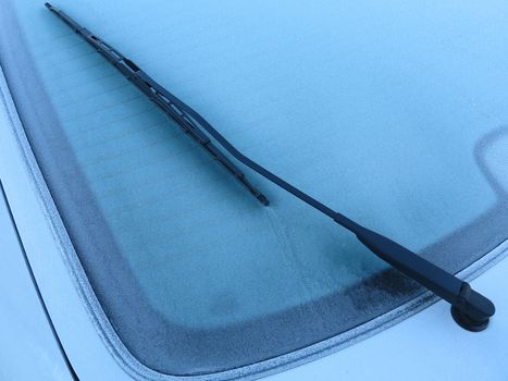 Rear window of a frozen automobile a Danish November morning.