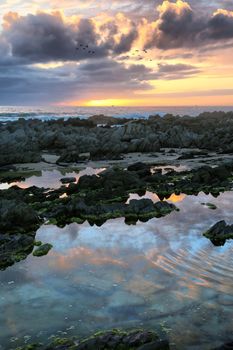 Beautiful sunset at the coast with rock pools in the foreground