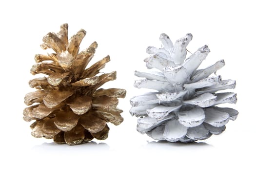 pine cones brown and silver with with isolated with white background