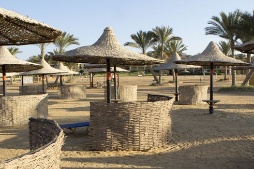 Deck chairs on a beach with umbrella and palm trees in the background