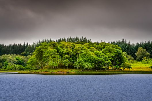 Idyllic island in the lake with green trees, Scotland, United Kingdom