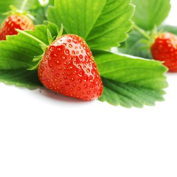 Strawberry with leaves isolated on white background