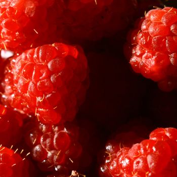 red wild raspberry macro close up 