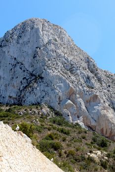 Natural Park of Penon de Ifach situated in Calp, Spain. A massive limestone outcrop emerging from the sea and linked to the shore by rock debris. Is home to numerous rare plants and over 300 species of animals, and nesting site for sea birds and other birds.