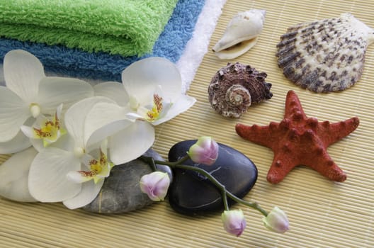 Spa concept with zen stones and orchid