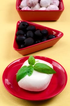 Italian mozzarella cheese with basil on a plate.