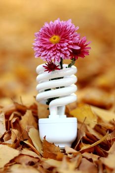 Energy-saving fluorescent lamp with a flower in the leaves