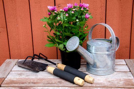 Gardening tools on wooden background