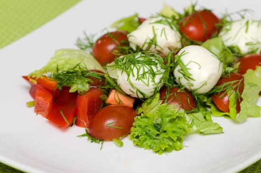 vegetable salad with mozzarella cheese on a white plate
