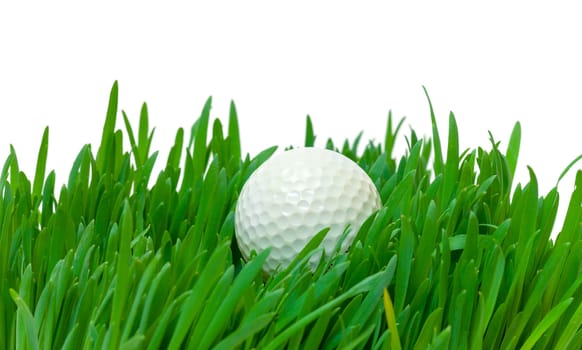 White golf ball in the long grass, closeup on white background