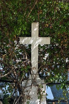 Marble cross old tombstone and sunlight through overgrown plant branches.