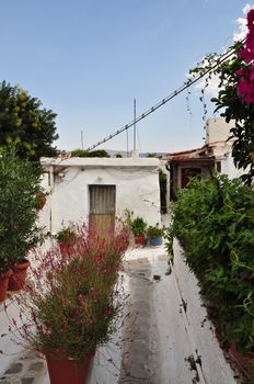 Narrow footpath with plants and small houses in the traditional Anafiotika neighborhood, village style architecture in the city. Plaka, Athens Greece.