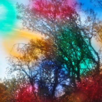 Glowing forest tree branches blur through colorful glass. Abstract landscape beauty in nature.