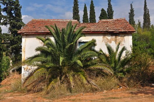 Abandoned house with collapsed roof obscured by overgrown plants.