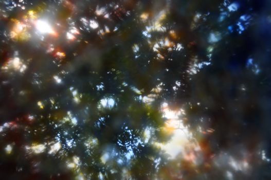 Sunlight on blurry tree branches silhouette through painted glass. Nature abstract.