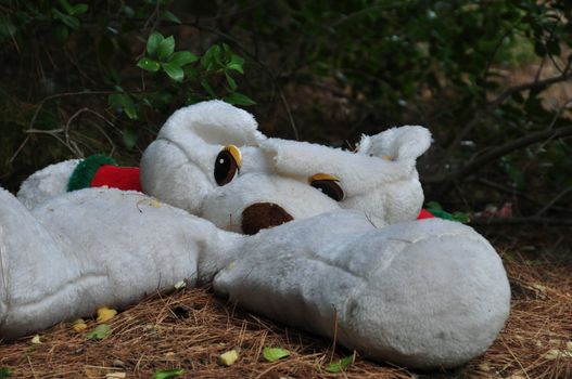 Torn teddy bear stuffed animal toy in a forest.