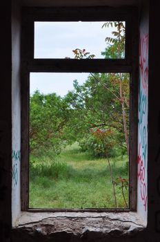 Abandoned house window frame with view to nature scene. Abstract landscape.