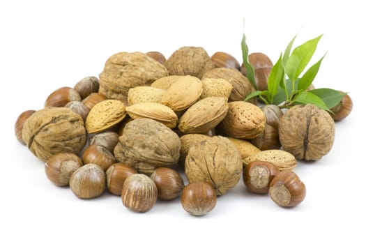 nuts on white background