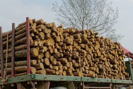 timber truck carrying