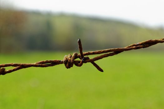 barbed Wire fence in front of the green meadow