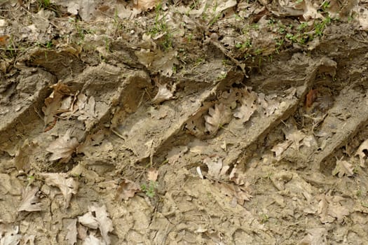 tractor tire tracks in the mud