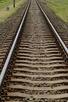 pair of railway track in the green