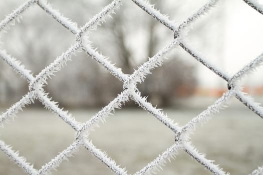 wire fence texture with hoarfrost overlay