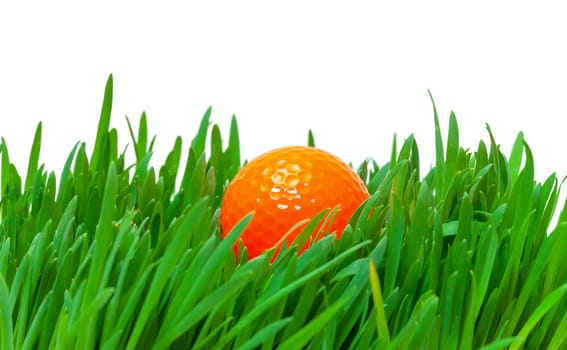 Orange golf ball in the long grass, closeup on white background