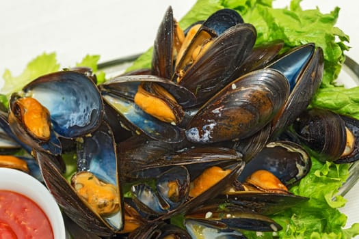 This is a plate of steamed mussels with lettuce leaves on a plate