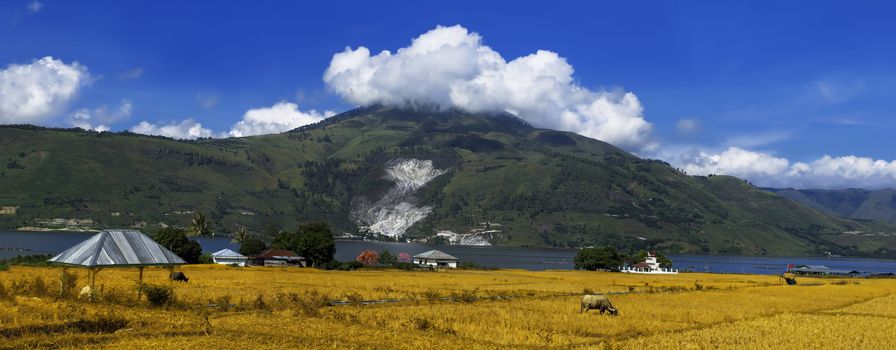 Panorama of Lake Toba. North Sumatra, Indonesia.