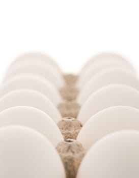 Eggs in an Egg Cartot on white background