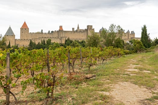 Medieval town of Carcassonne and vineyards in France