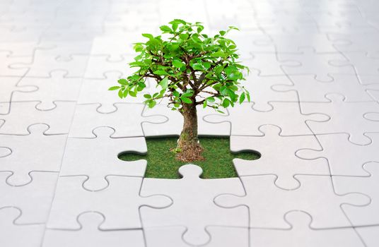 Small tree growing from grass inside a jigsaw 