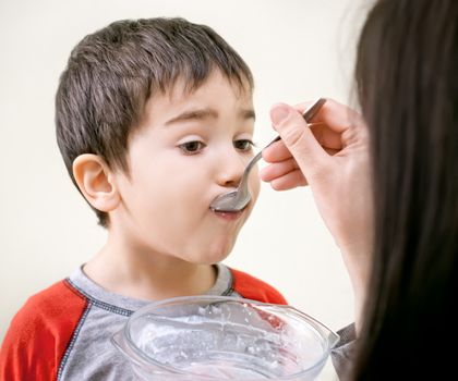 Cute little boy is being fed using spoon